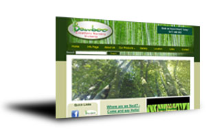 Bamboo nursery in Melbourne specialising in all types of Bamboo Plants.